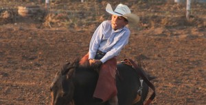 WEB pic rodeo cash johnson