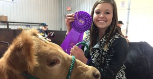 Hannah Hommel displays her ribbon with her Grand Champion Heifer during the Donley County Junior Livestock Show last Saturday at the Donley County Activity Center. Enterprise Photo / Kari Lindsey