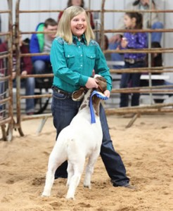 Donley County 4-H member, Brenna Ellis, receives her first ribbon in the Goat Heavy Weight division at the Donley county Livestock Show last Saturday. Ellis also won Grand Champion Goat. Photo by Morgan Wheatly