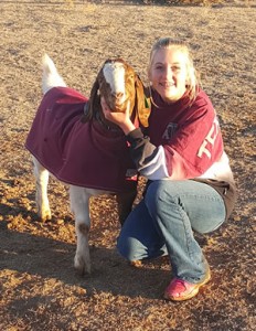 Brandalyn Ellis smiles with her prize lamb ahead of Saturday’s stock show.