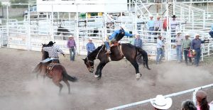 Tyler Turco rides during the saddle broc competition at the COEA Rough Stock Challenge Saturday. Enterprise Photo / Roger Estlack