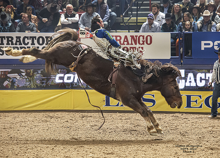 WEB 2025_NFR_Rd 6_Cole Franks_Harper - Clarendon Live