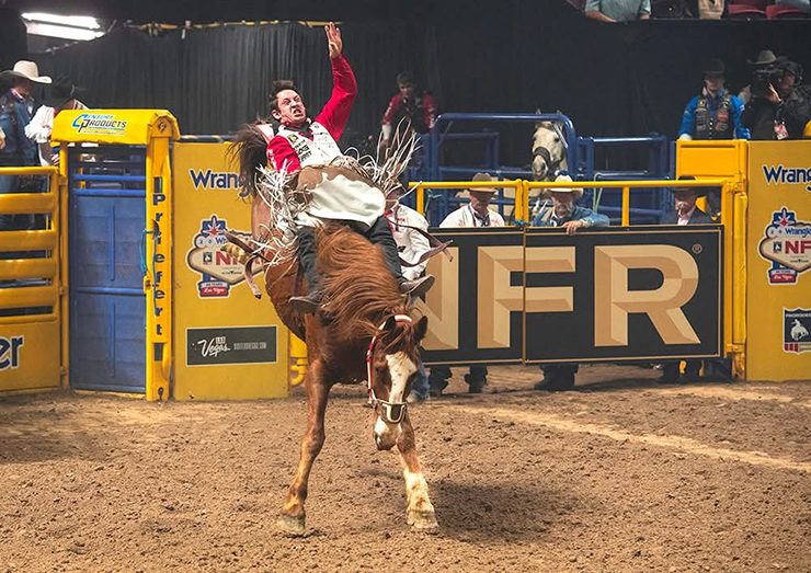 WEB Cole Franks - Clarendon Live