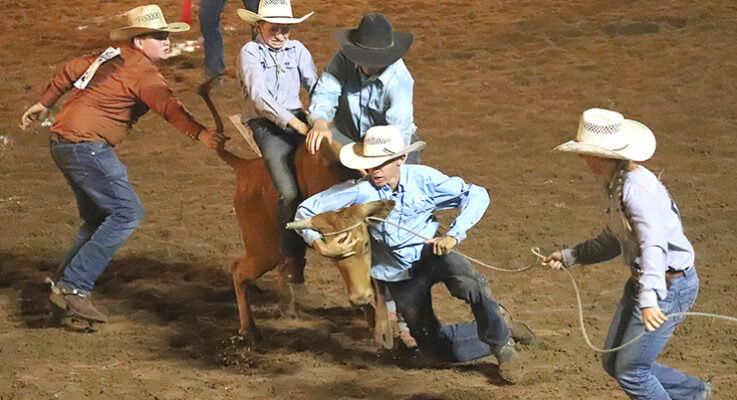 Heck Cattle wins ranch rodeo